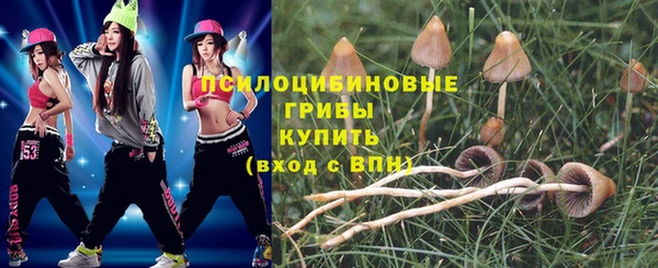 мет Алексин