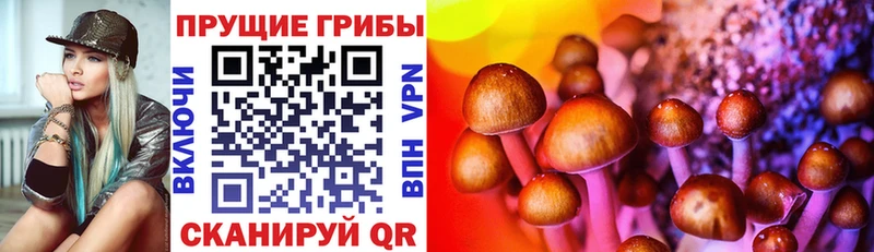 Псилоцибиновые грибы прущие грибы  Чита 